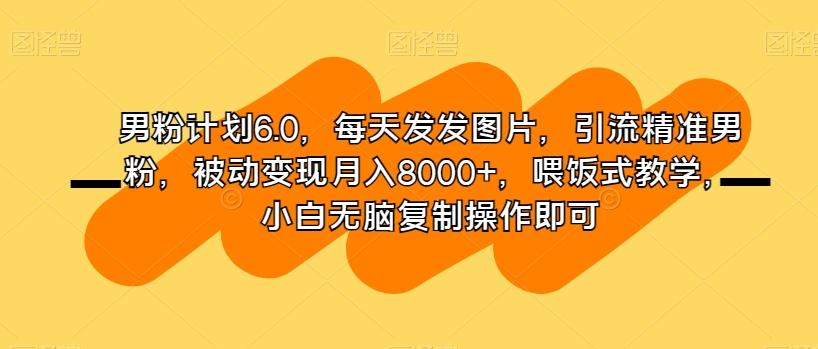 男粉计划6.0，每天发发图片，引流精准男粉，被动变现月入8000+，喂饭式教学，小白无脑复制操作即可-Xiaobei云