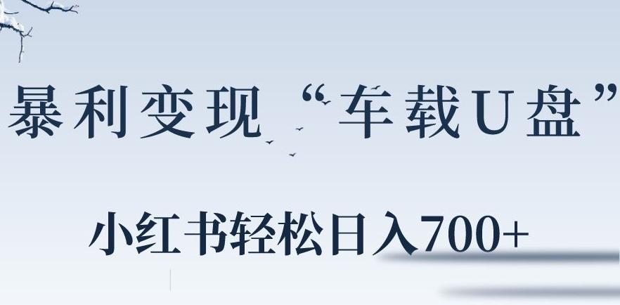 小红书“车载U盘”暴利引流，日入700+-Xiaobei云