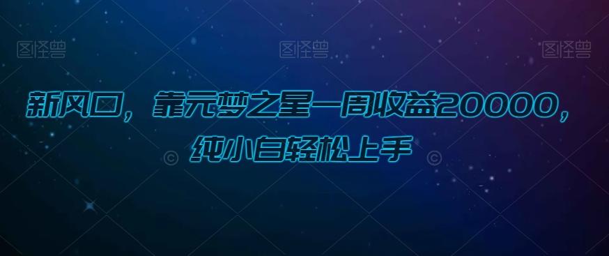 新风口，靠元梦之星一周收益20000，纯小白轻松上手-Xiaobei云