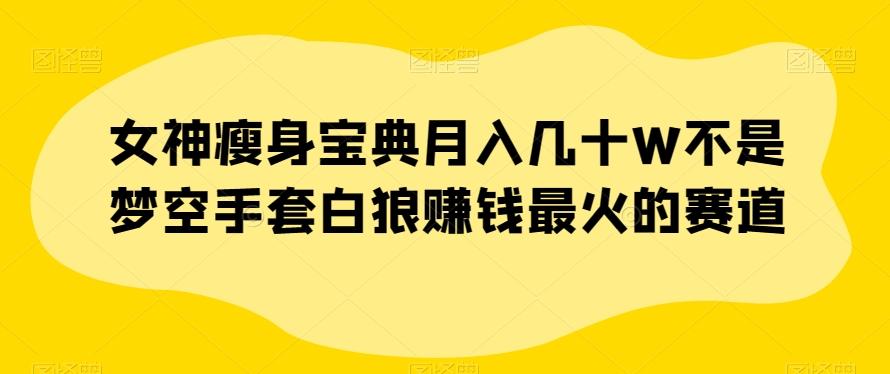 女神瘦身宝典月入几十W不是梦空手套白狼赚钱最火的赛道【揭秘】-Xiaobei云