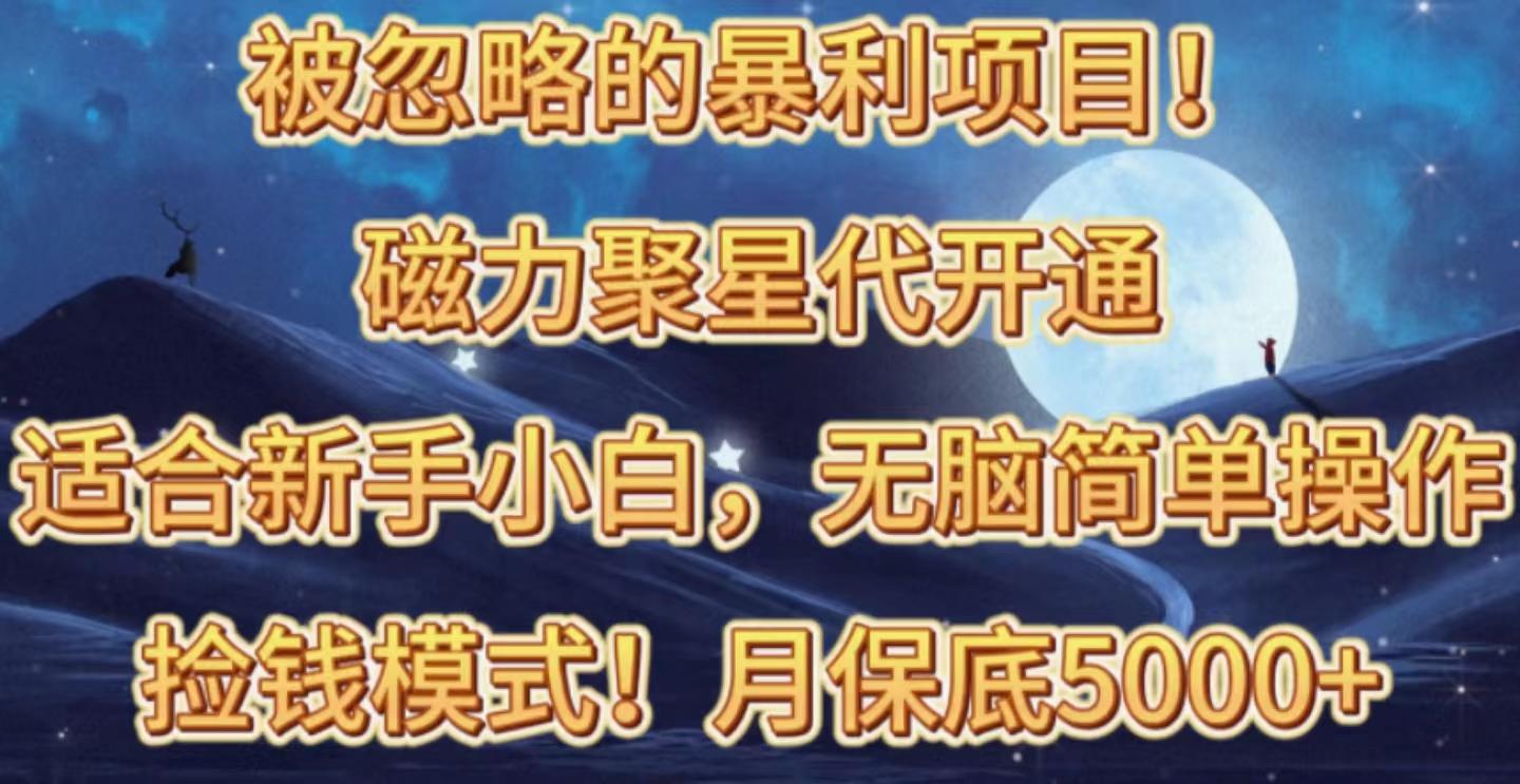 被忽略的暴利项目！磁力聚星代开通捡钱模式，轻松月入五六千-Xiaobei云