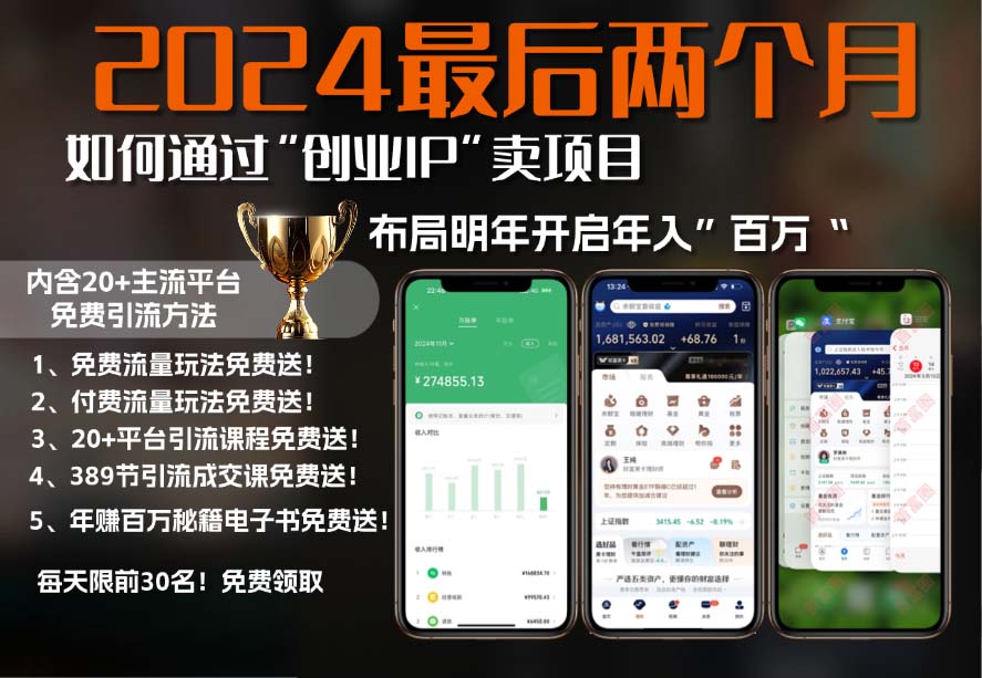 2024最后两个月如何通过”创业IP“卖项目年入”百万“,创业IP+最强引流...-Xiaobei云