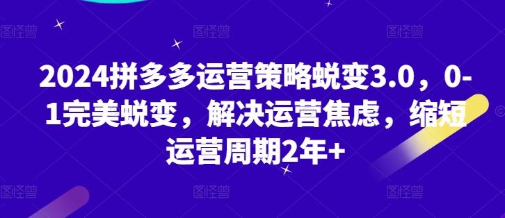 2024拼多多运营策略蜕变3.0，0-1完美蜕变，解决运营焦虑，缩短运营周期2年+-Xiaobei云