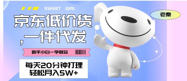 每天20分钟打理京东低价货，一件代发-轻松月入5W＋-Xiaobei云