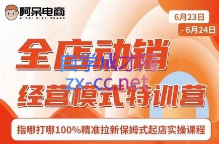 阿呆电商·全店动销经营模式特训营(线下录音+思维导图)-Xiaobei云