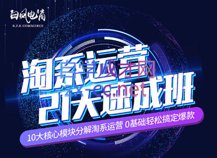 淘系运营21天速成班(更新7月)-Xiaobei云