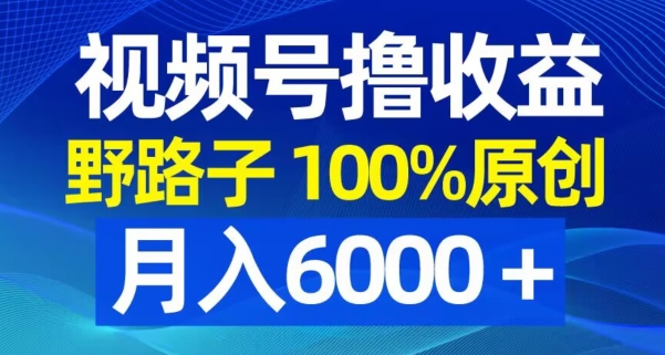 视频号野路子撸收益，100%原创，条条爆款，月入6000＋【揭秘】-Xiaobei云