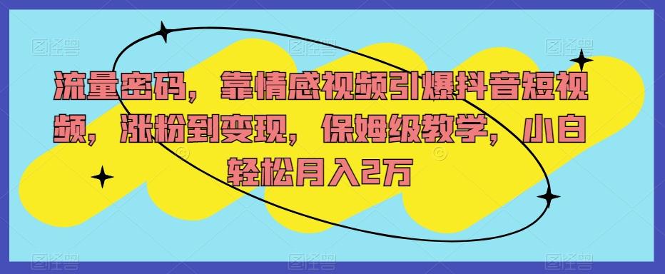 流量密码，靠情感视频引爆抖音短视频，涨粉到变现，保姆级教学，小白轻松月入2万【揭秘】-Xiaobei云