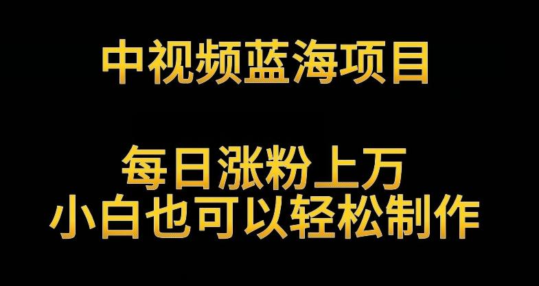 中视频蓝海项目，解读英雄人物生平，每日涨粉上万，小白也可以轻松制作，月入过万不是梦【揭秘】-Xiaobei云