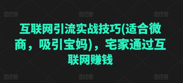 互联网引流实战技巧(适合微商，吸引宝妈)，宅家通过互联网赚钱-Xiaobei云