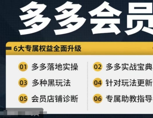 拼多多会员，拼多多实战宝典+实战落地实操，从新手到高阶内容全面覆盖-Xiaobei云