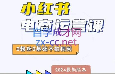 达哥·小红书电商运营(2024版)-Xiaobei云