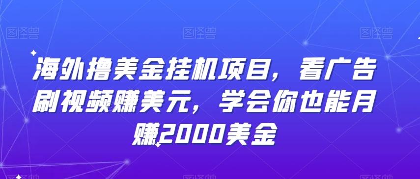 海外撸美金挂机项目，看广告刷视频赚美元，学会你也能月赚2000美金-Xiaobei云
