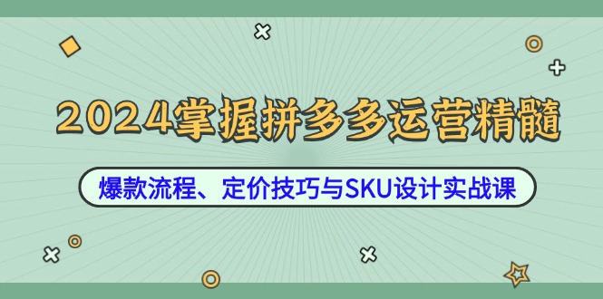 2024掌握拼多多运营精髓：爆款流程、定价技巧与SKU设计实战课-Xiaobei云