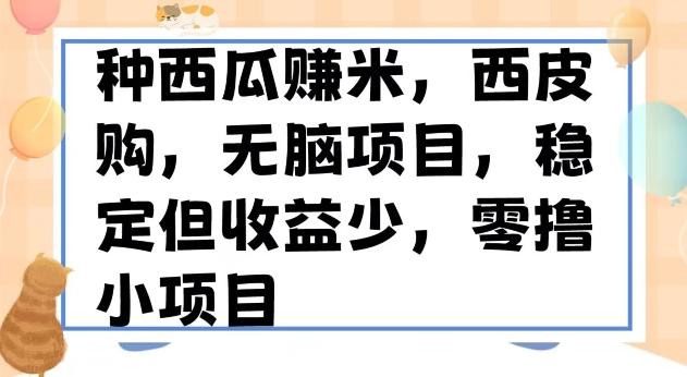 种西瓜赚米，西皮购稳定长久零撸小项目-Xiaobei云