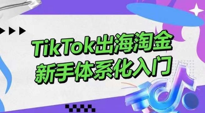 TikTok出海淘金，新手体系化入门，零基础快速入门，掌握短视频、直播带货等引流到变现的知识-Xiaobei云