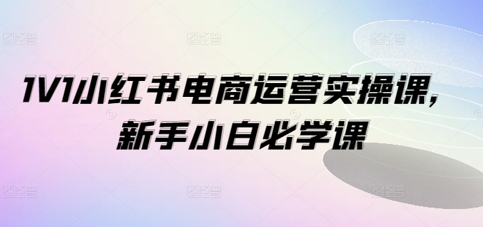 1V1小红书电商运营实操课，新手小白必学课-Xiaobei云