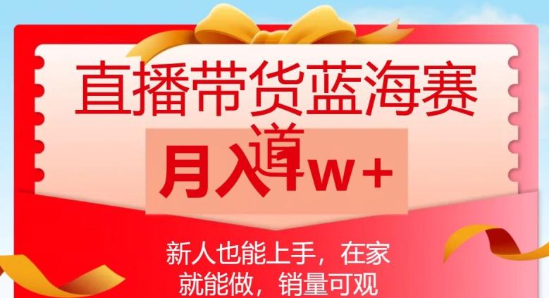 直播带货蓝海赛道，新人也能上手，在家就能做，销量可观，月入1w【揭秘】-Xiaobei云